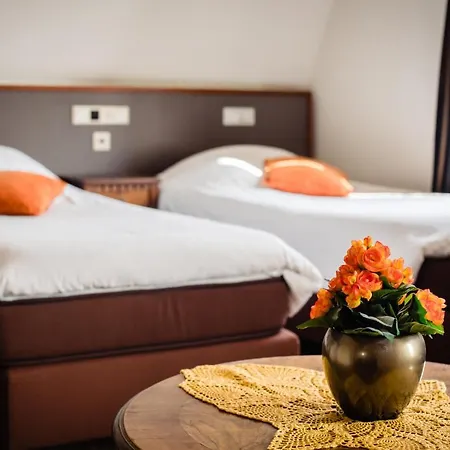 Hotel De Reiziger Ottersum