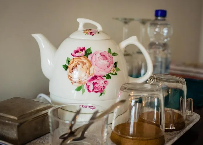 Hotel De Reiziger Hotel Ottersum