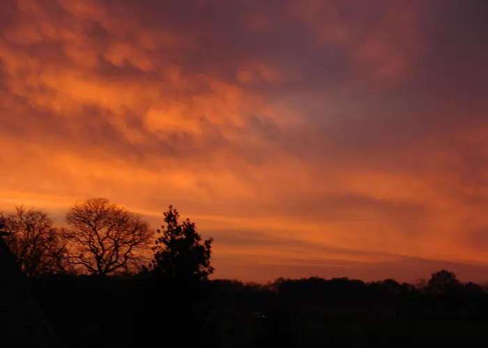 Hotel De Reiziger 3*